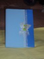 Caderno de E.V.A 